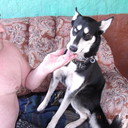  ,   , 62 ,   