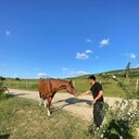 ���������� �����������, ���� ������� ���, 30 ���, ������������ ��� ������, ����� � ���������