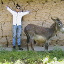 ,   Hasratshoh, 30 ,   ,   , c 