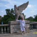  ,   , 54 ,  