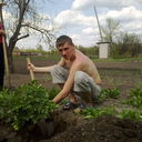 ���������� ����������, ���� ������� �� ���������, 38 ���, ������������ ��� ������, ����� � ���������, c�������� ���������