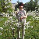  ,   , 50 ,   ,   