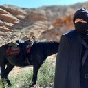 ���������� ������, ���� ������� �����, 41 ���, ������������ ��� ������