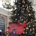  -,   , 48 ,   ,   , c 