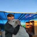 ���������� ������, ���� ������� �����, 37 ���, ������������ ��� c�������� ���������