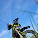 ���������� �����, ���� ������� ������, 35 ���, ������������ ��� ������, c�������� ���������, ���������