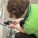 ���������� ������������, ���� ������� �����, 46 ���, ������������ ��� ������, ����� � ���������, c�������� ���������