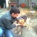 ���������� ��������, ���� ������� �������, 41 ���, ������������ ��� ������, ����� � ���������, c�������� ���������