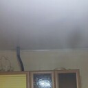 ���������� ����, ���� ������� �����, 28 ���, ������������ ��� ������, ����� � ���������