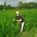 ���������� ������, ���� ������� �������, 70 ���, ������������ ��� ������, ����� � ���������