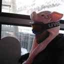 ���������� ������, ���� ������� Egor, 46 ���, ������������ ��� ������, ����� � ���������, c�������� ���������