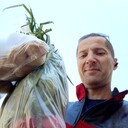 ���������� �������, ���� ������� ������, 43 ����, ������������ ��� ������, ����� � ���������, c�������� ���������