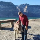  ,   , 50 ,   ,   , c 