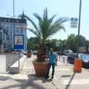  ,   , 40 ,   ,   , c 
