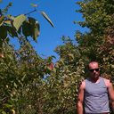 ���������� ����, ���� ������� ����, 43 ����, ������������ ��� ������