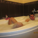 ���������� �������, ���� ������� �����, 38 ���, ������������ ��� ������, ����� � ���������, c�������� ���������