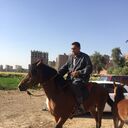  Al Ghardaqah,   Miro, 41 ,   c 