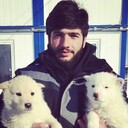  ,   David, 27 ,   ,   
