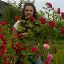 ���������� �����, ���� ������� ����, 38 ���, ������������ ��� ������, ����� � ���������, c�������� ���������