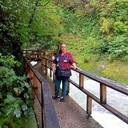  -,   , 41 ,   ,   , c 