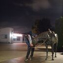  ,   , 41 ,   ,   , c , 