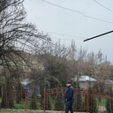 ���������� �������, ���� ������� Jamwid, 35 ���, ������������ ��� ����� � ���������, c�������� ���������