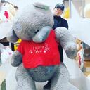 ���������� ������, ���� ����� �������, 22 ����, ������������ ��� ������, ����� � ���������, c�������� ���������, ���������