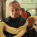  ,   , 55 ,   ,   , c 