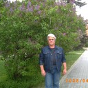  ,   , 66 ,   