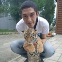 ���������� ���������, ���� ������� ������, 38 ���, ������������ ��� ������, ����� � ���������, c�������� ���������