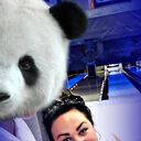 ���������� ���������, ���� ������� ����, 49 ���, ������������ ��� ������, ����� � ���������