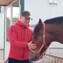 ���������� ���������, ���� ������� �����, 38 ���, ������������ ��� c�������� ���������