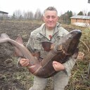 ���������� �����������, ���� ������� ������, 64 ����, ������������ ��� ������, ����� � ���������, c�������� ���������, ���������