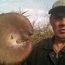  ,   , 59 ,   ,   , c 