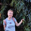 ���������� ������, ���� ������� ����, 55 ���, ������������ ��� c�������� ���������