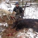 ���������� ������, ���� ������� ������, 43 ����, ������������ ��� ������