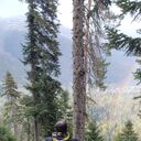 ���������� ����������, ���� ������� ���������, 37 ���, ������������ ��� ������, ����� � ���������