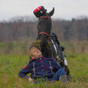 ���������� ������, ���� ������� ����, 33 ����, ������������ ��� ������, ����� � ���������, c�������� ���������