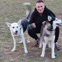 ���������� ��������������, ���� ������� ������, 29 ���, ������������ ��� ������, ����� � ���������