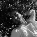 ���������� ������, ���� ����� ������, 22 ����, ������������ ��� ������, ����� � ���������