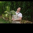 ���������� ������, ���� ������� ��������, 29 ���, ������������ ��� ������, ����� � ���������, c�������� ���������