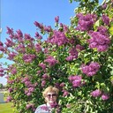  ,   , 54 ,     , c 