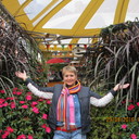 ���������� �����, ���� ������� �������, 55 ���, ������������ ��� ������, ����� � ���������, c�������� ���������