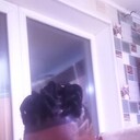  ,   Abass yussif, 33 ,   ,   