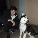 ���������� �����������, ���� ������� �����, 28 ���, ������������ ��� ������, ����� � ���������