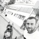 ���������� ���������, ���� ������� ���������, 38 ���, ������������ ��� ������, ����� � ���������, c�������� ���������