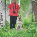 ���������� ������, ���� ������� ���������, 54 ����, ������������ ��� ������, ����� � ���������, c�������� ���������