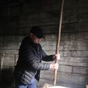 ���������� �����, ���� ������� �������, 39 ���, ������������ ��� ����� � ���������, c�������� ���������