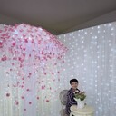 ���������� ������, ���� ������� ����, 56 ���, ������������ ��� ������, ����� � ���������, c�������� ���������, ���������