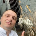 ���������� ������, ���� ������� �������, 45 ���, ������������ ��� ������, ����� � ���������, c�������� ���������